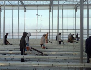 farrm workers